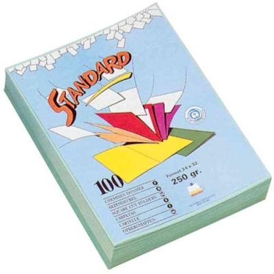Rainex standard 250 100 chemises 24 x 32 cm canari 400ca