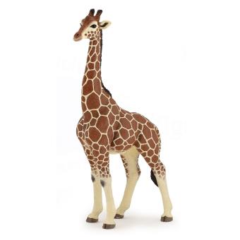 Figurine Papo Girafe mâle - 1
