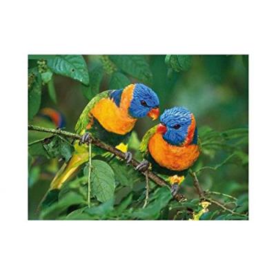 Ednet Picture Mouse Pad Birds - muismat