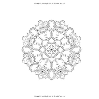 50+ Mandalas (Cahier Coloriage Adulte): Livre de coloriage pour adultes,  anti-stress - 110 pages Format A4 NLFBP Editions - broché - NLFBP Editions  - Achat Livre