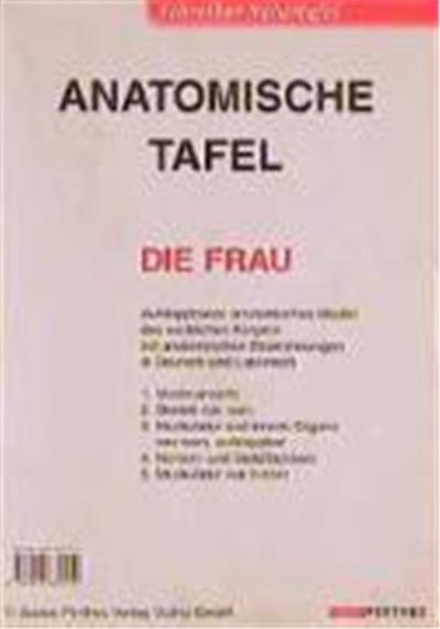 Lerne deinen Körper kennen. Der weibliche Körper