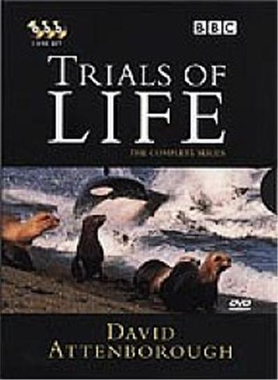 The Trials Of Life