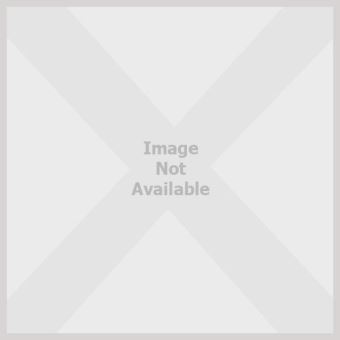 Interchange Intro Workbook - [Livre en VO] - 1