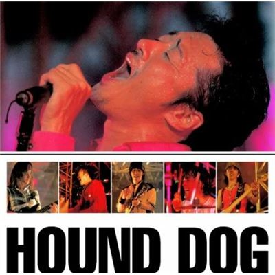 Premium Best Hound Dog