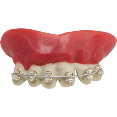 Générique Dentier Appareil Dentaire Taille Unique