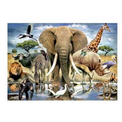 Puzzle 1000 pièces - Faune du Kenya