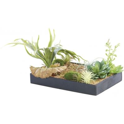 Tableau végétal avec cadre - Herbacées - 30 x 20 cm