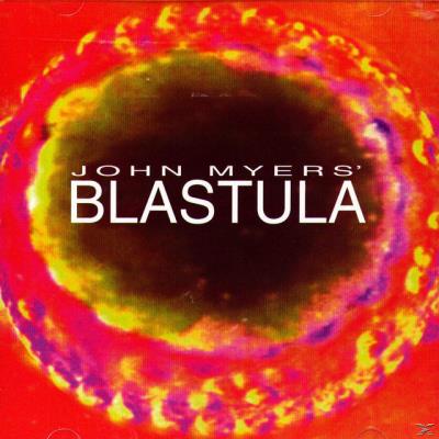 Blastula