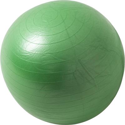 Swiss ball - Ballon de gym VERT / 55cm