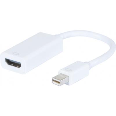 Convertisseur Mini Displayport 1.1 Vers HDMI Plastique