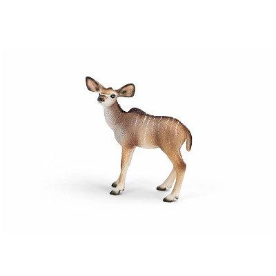 Antilope Koudou - Bébé