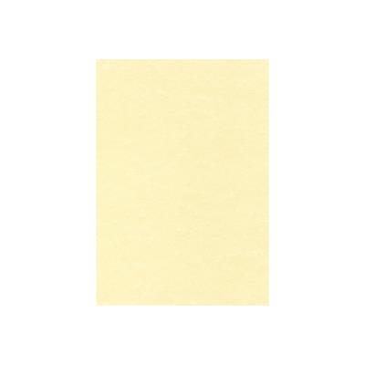 DECAdry PCL1677 - structuurpapier - 50 vel(len)