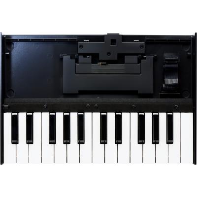 Claviers-Maitres Roland K-25M 25/49 Touches