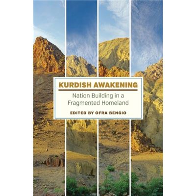 Kurdish Awakening: Nation Building In A Fragmented Homeland (Paperback)