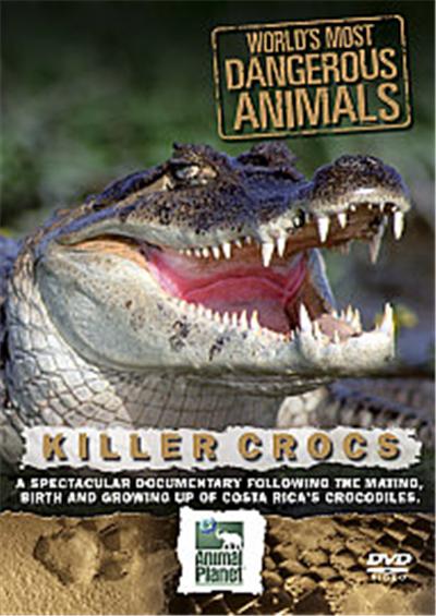 World's Most Dangerous Animals - Killer Crocs