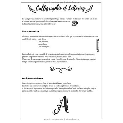 Guide de Calligraphie Moderne et Lettering pour débutants NLFBP
