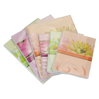 Henzo Blossoms farbl.sort. 10x15 Fotoetui pour 40 photos 98.229.00