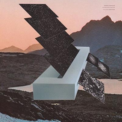 The Measure In Mixture (LP)