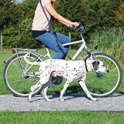 Laisse Vélo Et Jogging, 1,00–2,00 M/25 Mm, Noir - Mon Animalerie
