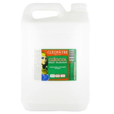 Colle Cléocol 5kg