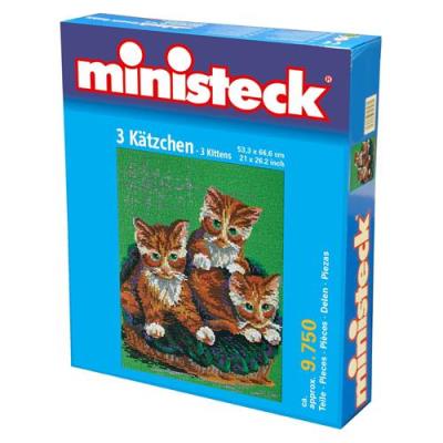 Chatons Ministeck