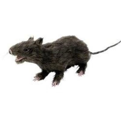 Un rat très réaliste avec sa fourrure