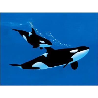 Affiche 30x40 cm Orques / Deep blue sea