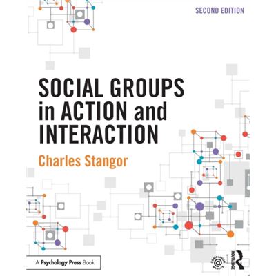 Social Groups In Action And Interaction: 2Nd Edition (Paperback)