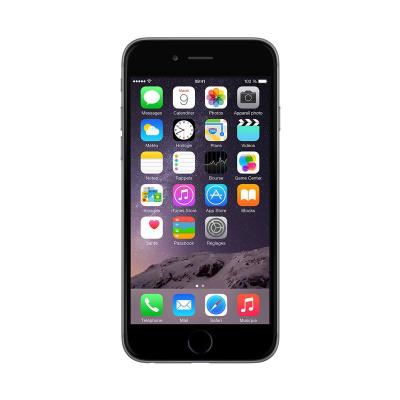 Apple iPhone 6 64 Go Gris Sidéral - Reconditionné