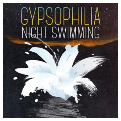 Night Swimming (LP)