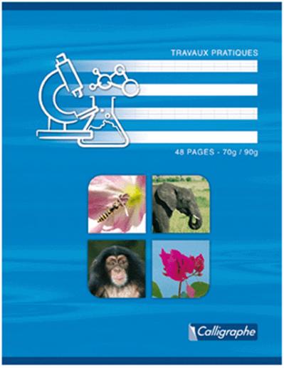 Calligraphe - Cahier Travaux Pratiques Piqures 17x22 (seyes 70g + Dessin) 64p