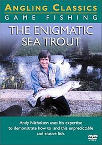 The Enigmatic Sea Trout