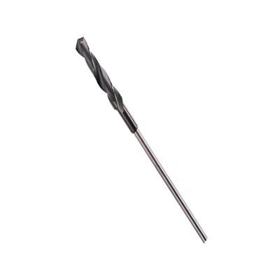Mèche pour Coffrage et Lambrissage à Queue Sds-Plus Ø28Mm Longueur 600Mm Bosch 2608597419