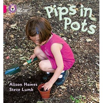 Pips in Pots Alison Hawes