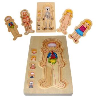 Puzzle En Bois Plusieurs Couches Anatomie Enfants 4 Ans Le Corps Humain Fille Puzzle Enfant Achat Prix Fnac