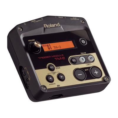 Batteries electroniques ROLAND TM-2 - CONVERTISSEUR TRIGGER MODULE MIDI PERCUSSION Modules