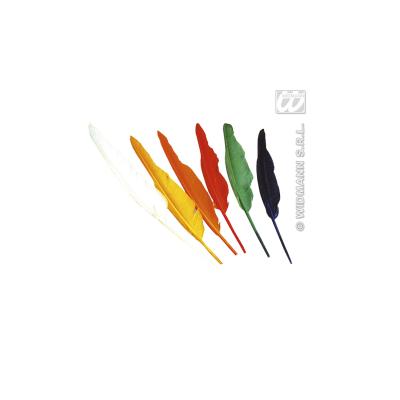 Set De 12 Plumes D'Indien