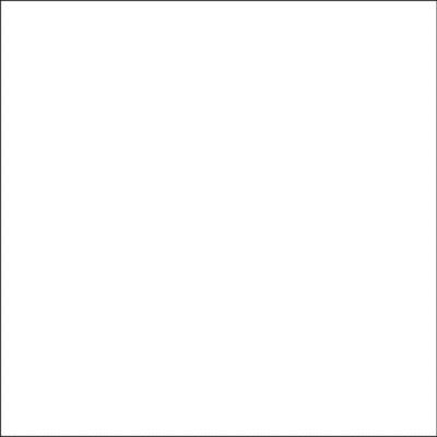 Savage Accent Contexte Muslin solide (10 x 24' , blanc)