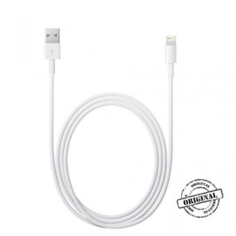 Câble téléphone portable Apple CABLE LIGHTNING VERS USB (MD818ZM/A) -  LIGHTNING