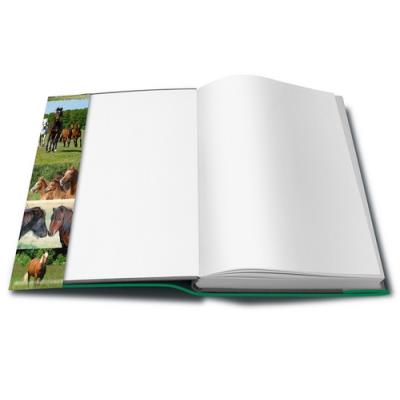 HERMA - Film couvre-livres, 400 mm x 5 m, en PP, transparent, non  autocollant -7384 - Protège-cahier et couvre-livre grand format - Achat &  prix