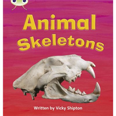 Animal Skeletons: Non-Fiction Set 17 (Phonics Bug) (Paperback)