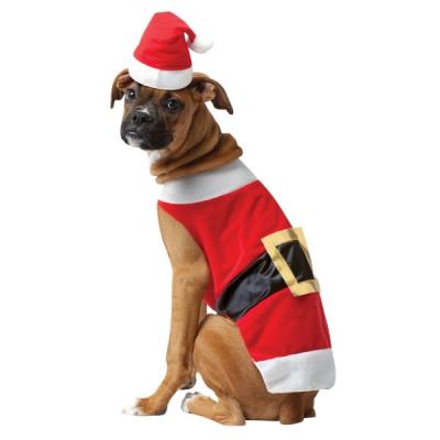 Costume de Père Noël pour chien - XS
