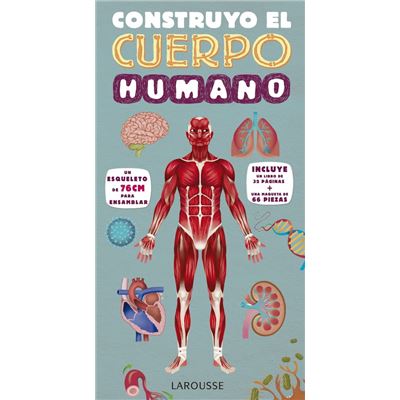 Construyo El Cuerpo Humano