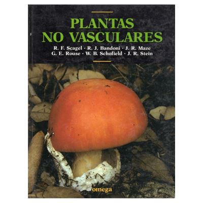 Plantas No Vasculares