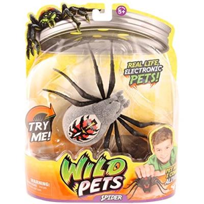 Wild Pets - 33642 - S1 Pack Simple Araignée - Wolfgang