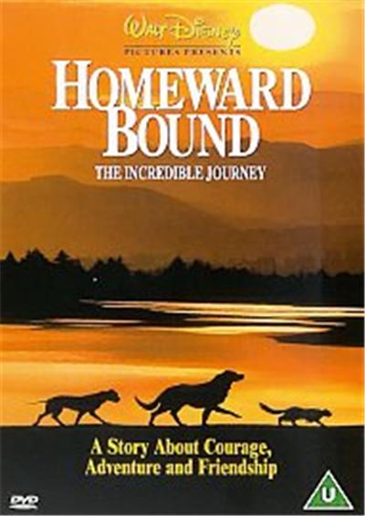 Homeward Bound
