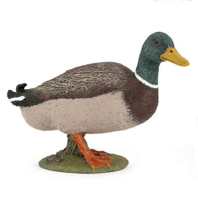 Papo - Canard colvert