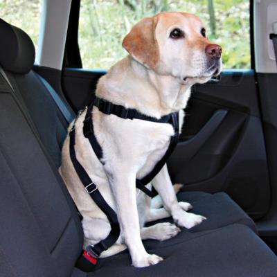 Trixie Noir Harnais Pour Chien De Voiture - Image 3