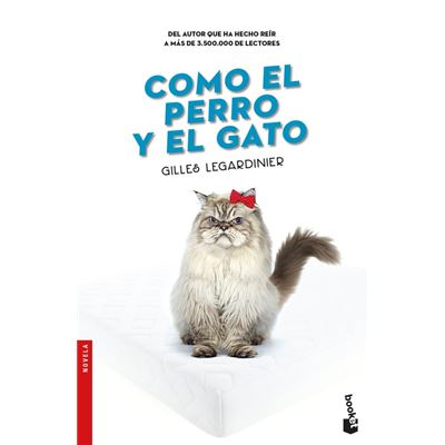 Cómo El Perro Y El Gato