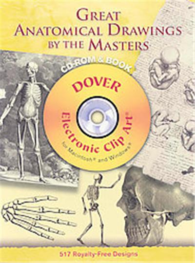 Great Anatomical Drawings by the Masters